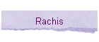 Rachis